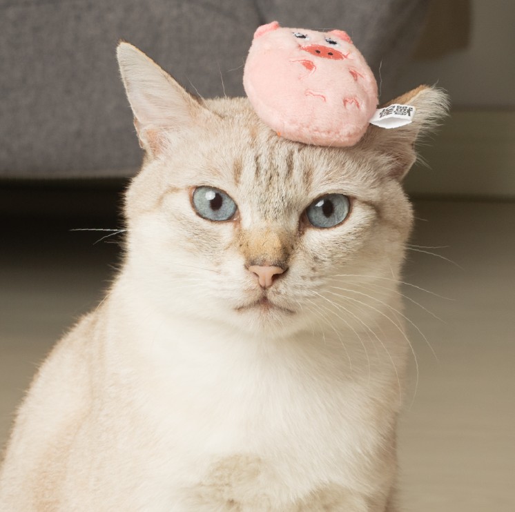 怪獸部落LitoMon ｜ CHILL紓壓貓草包