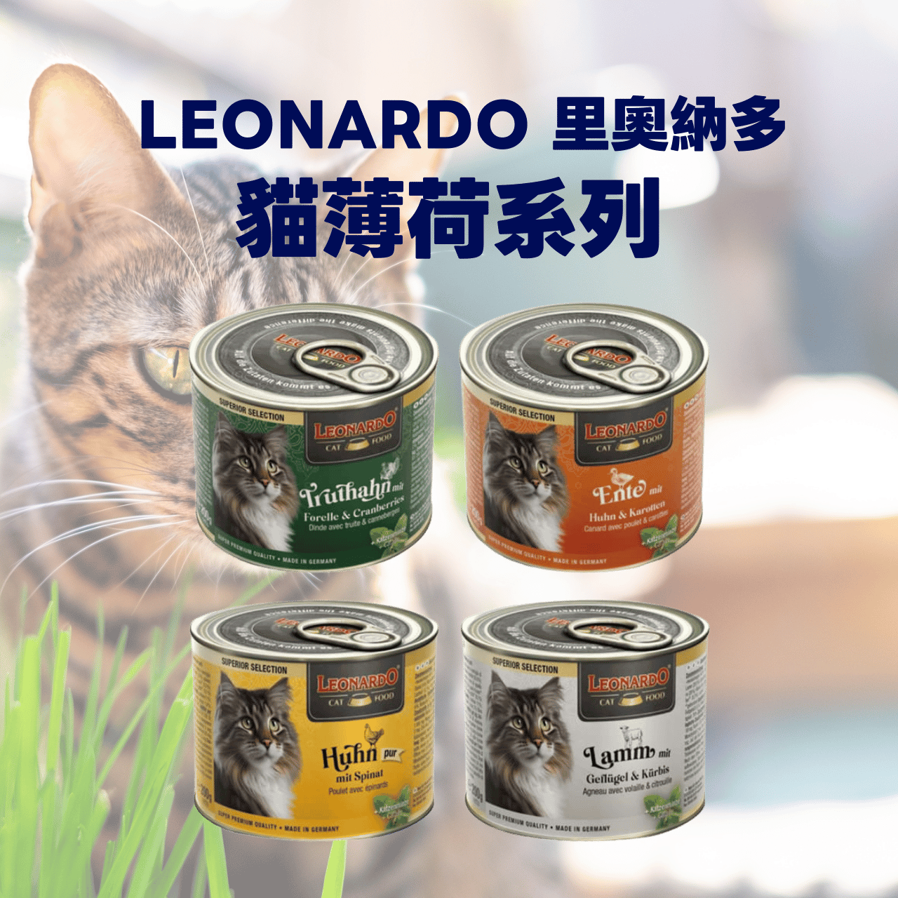 里奧納多 Leonardo 貓薄荷主食罐 無穀 德罐