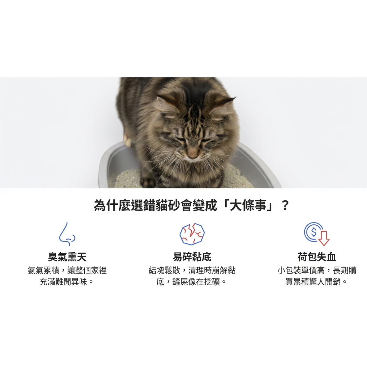 【免運】砂事大條  礦砂繁殖包 硬貓砂 礦砂 貓砂 量販包