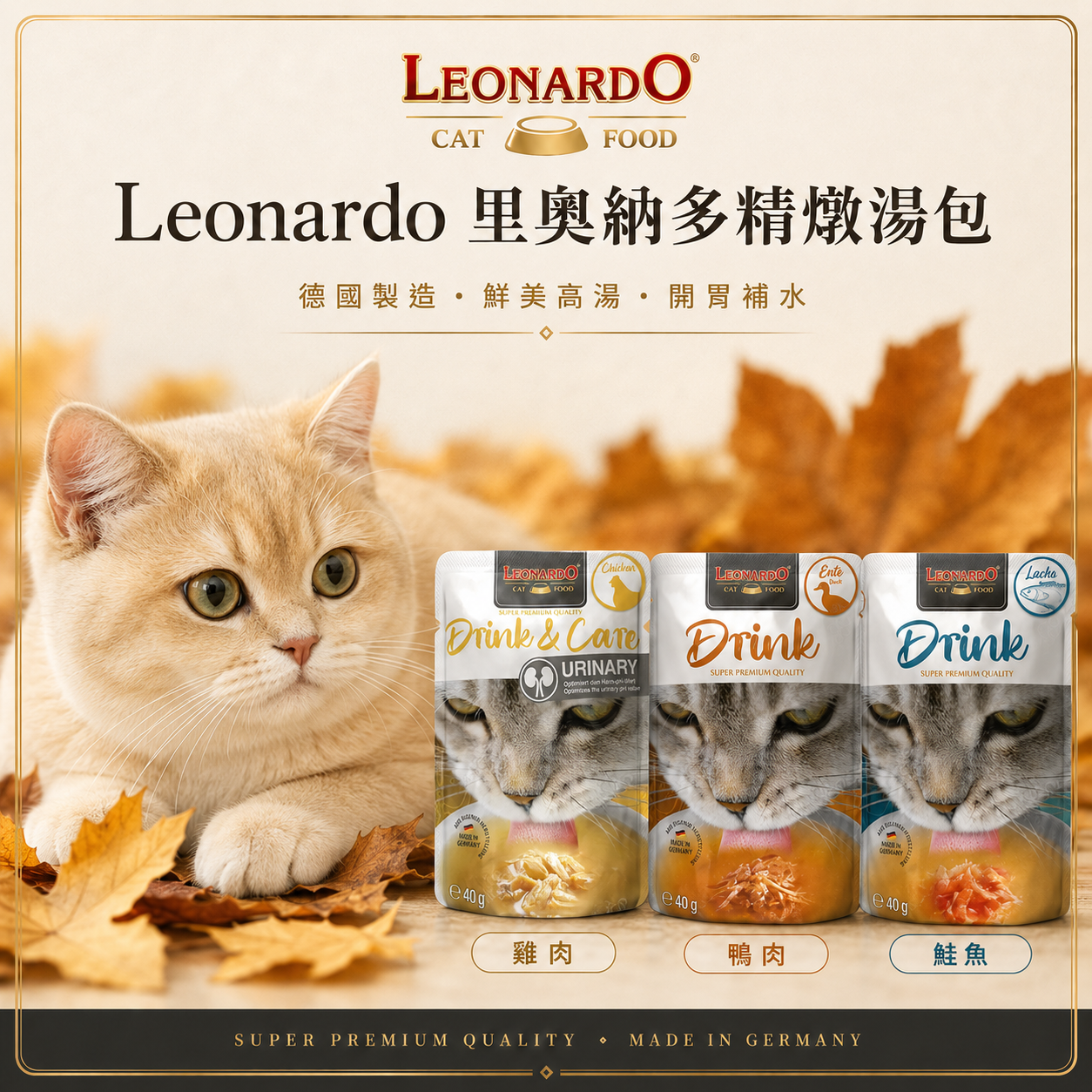 里奧納多 Leonardo 精燉極鮮補水貓湯包 40g