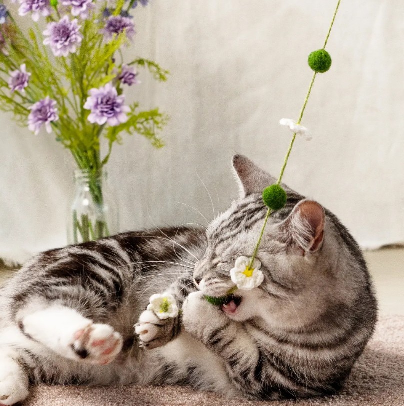 春日花與貓系列 逗貓棒｜超凝小姐