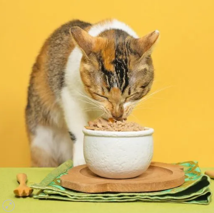 怪獸部落LitoMon 佛跳牆 澎湃美味四喜罐 80g