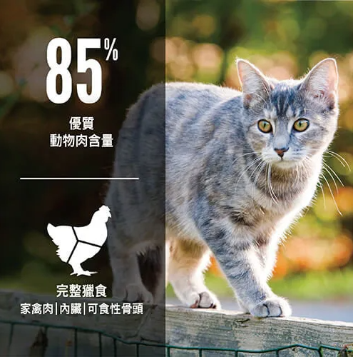 歐睿健 Orijen 無榖貓飼料