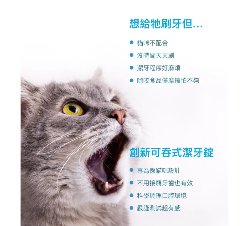 木入森MORESON 貓咪固齒麗 口滴劑 潔牙錠 寵物 口滴劑 牙齒乾淨 口腔清潔