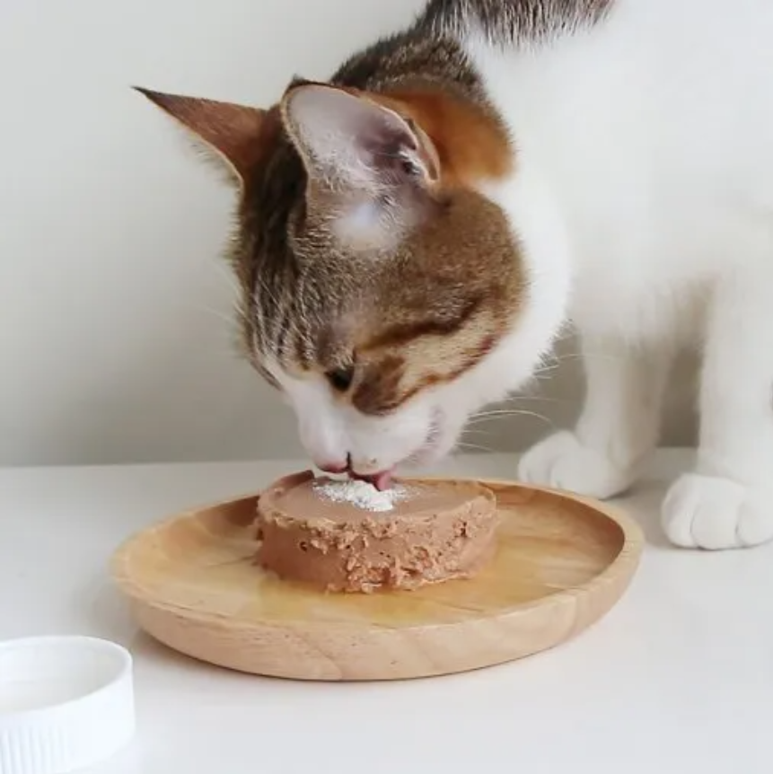 怪獸部落LitoMon 益菌排毛粉 犬貓腸胃健康補給 50g