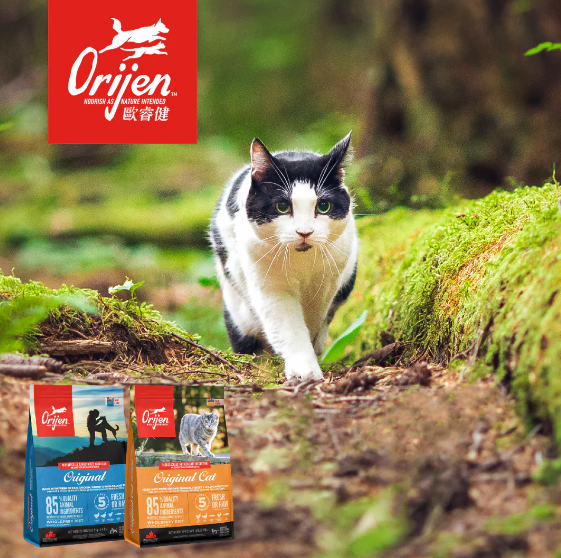 歐睿健 Orijen 無榖貓飼料