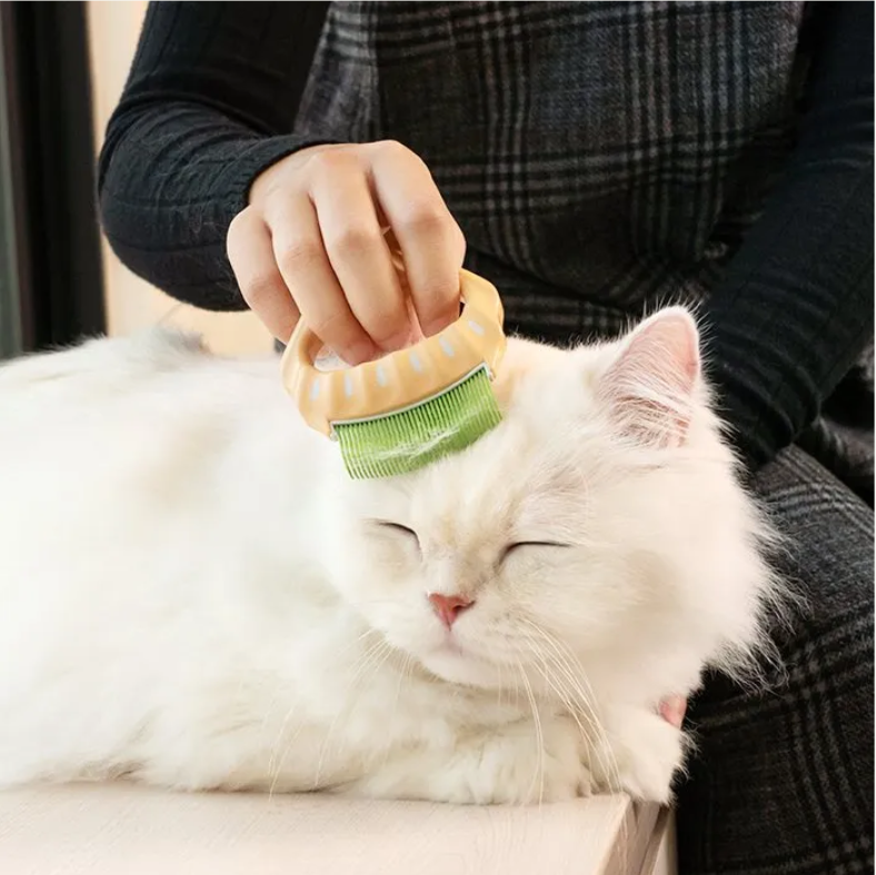 DogCatStar 汪喵星球 日本 Philocomb 寵物貝殼梳