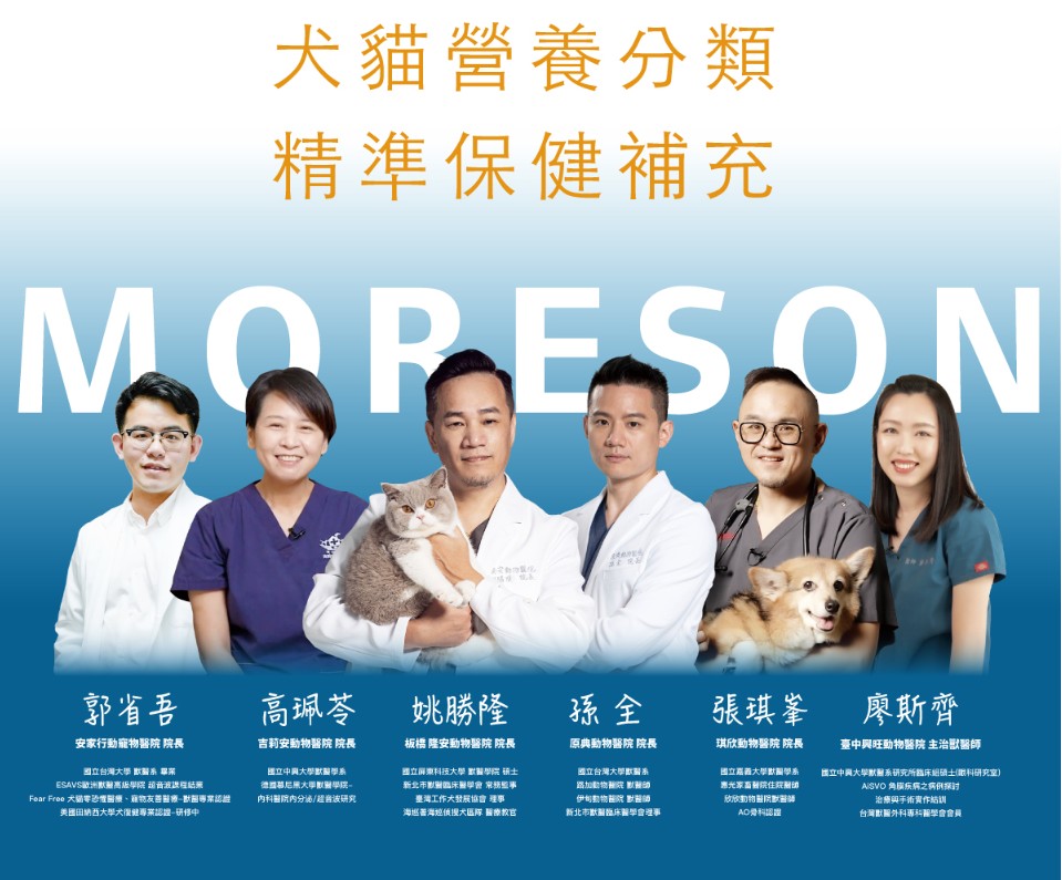 木入森MORESON 貓咪排毛粉 毛髮吐出 腸胃保健 營養補充 腸道呵護