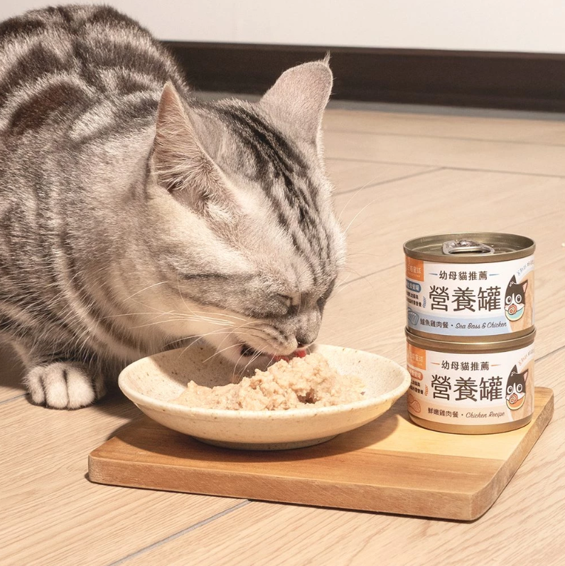 汪喵星球Dog Cat Star 貓營養主食罐｜迷你無膠早餐罐