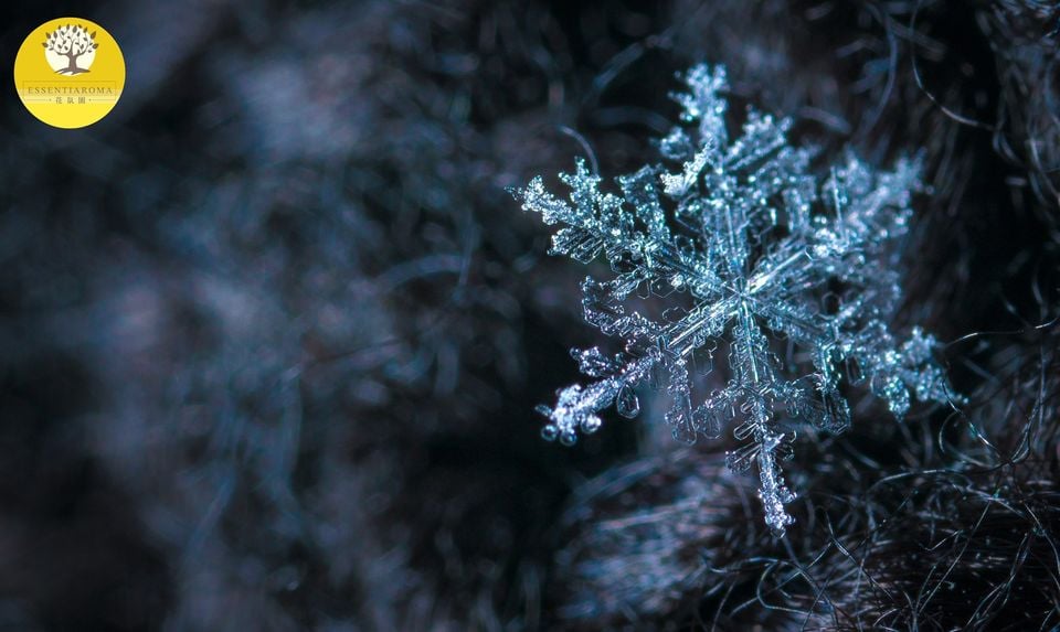 【24節氣：小寒】