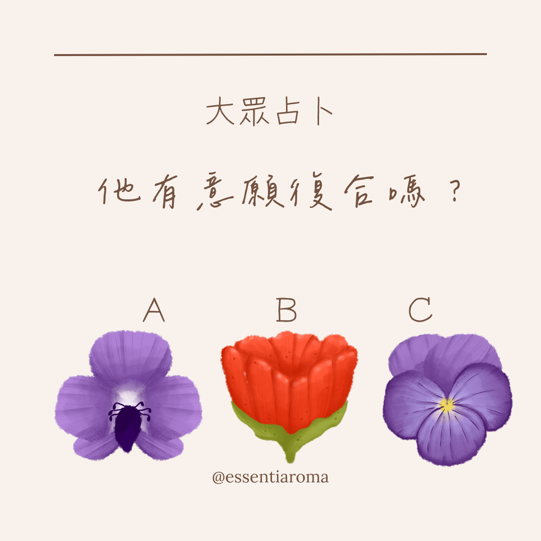 #大眾占卜 他有意願復合嗎？