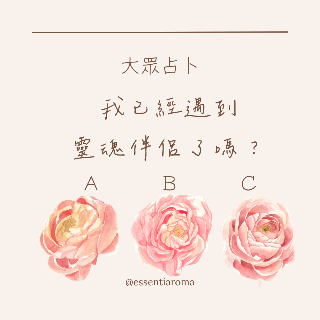 #大眾占卜 我已經遇到了靈魂伴侶了嗎？