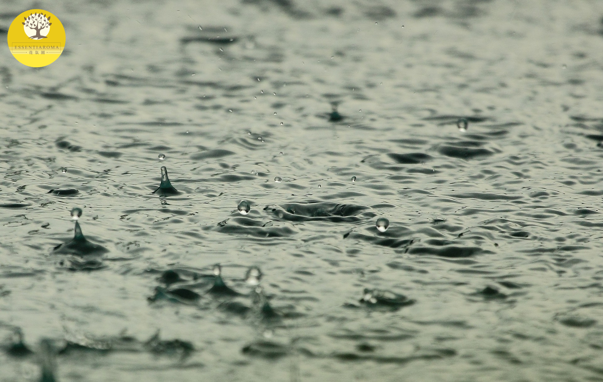 【24節氣：清明】