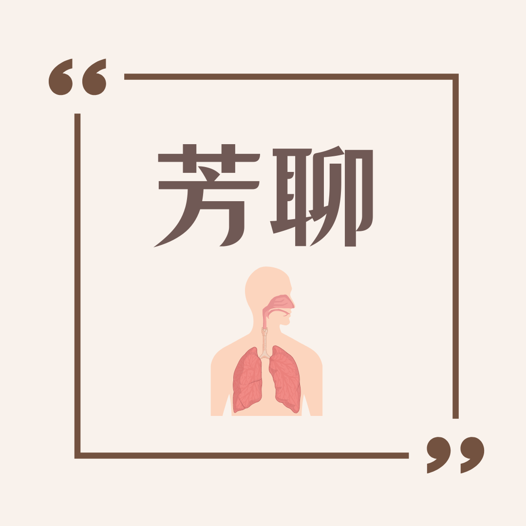 芳聊-精油與經絡