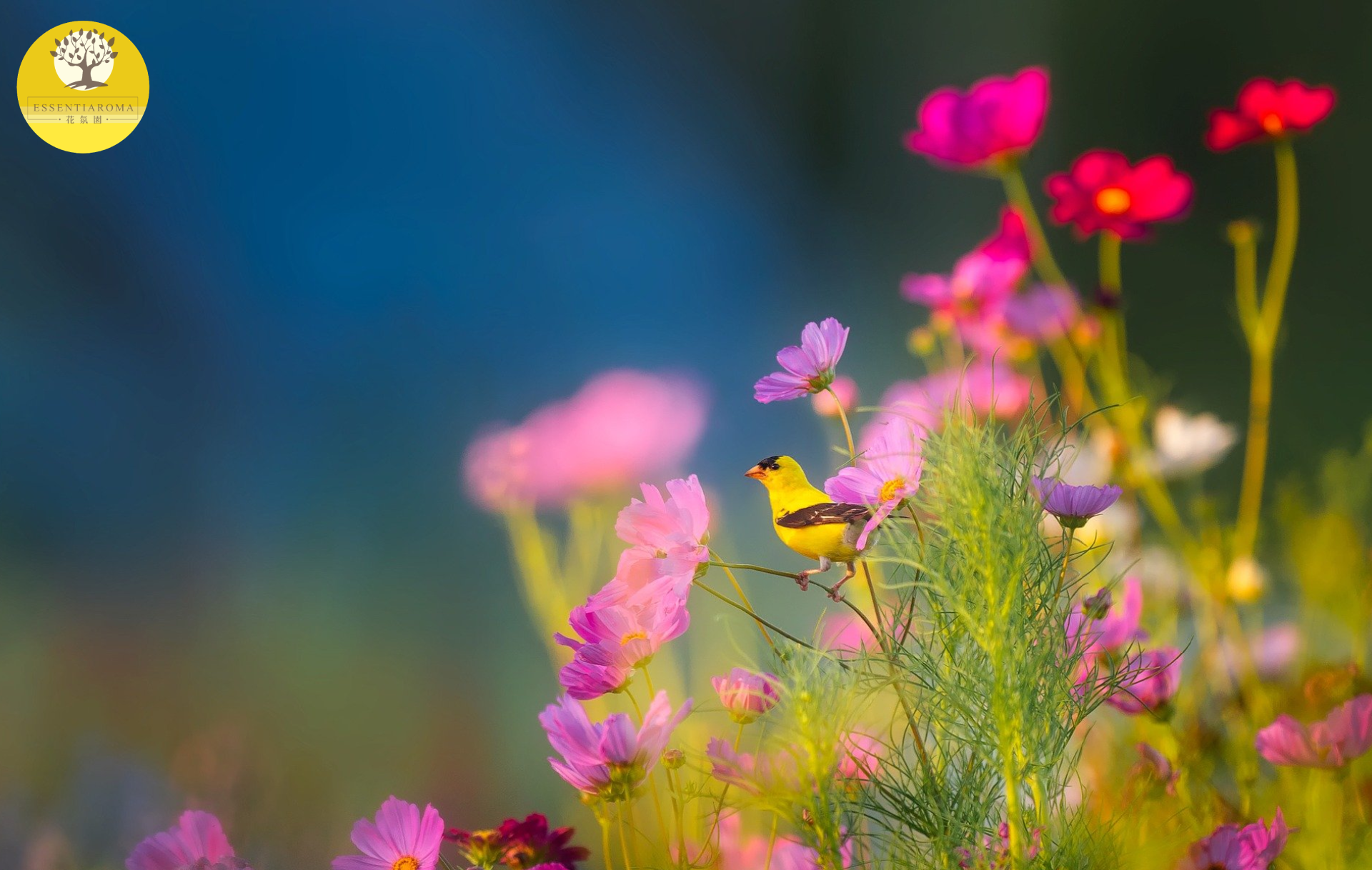 【24節氣：春分】