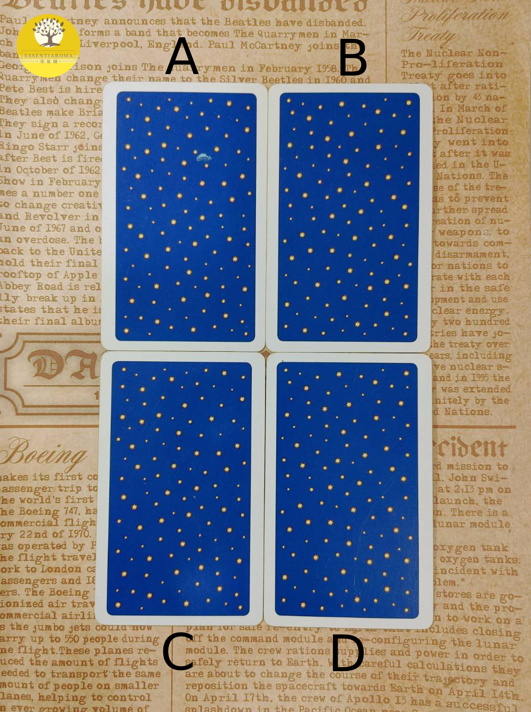 【Chac塔羅：2023年2月金錢運勢】