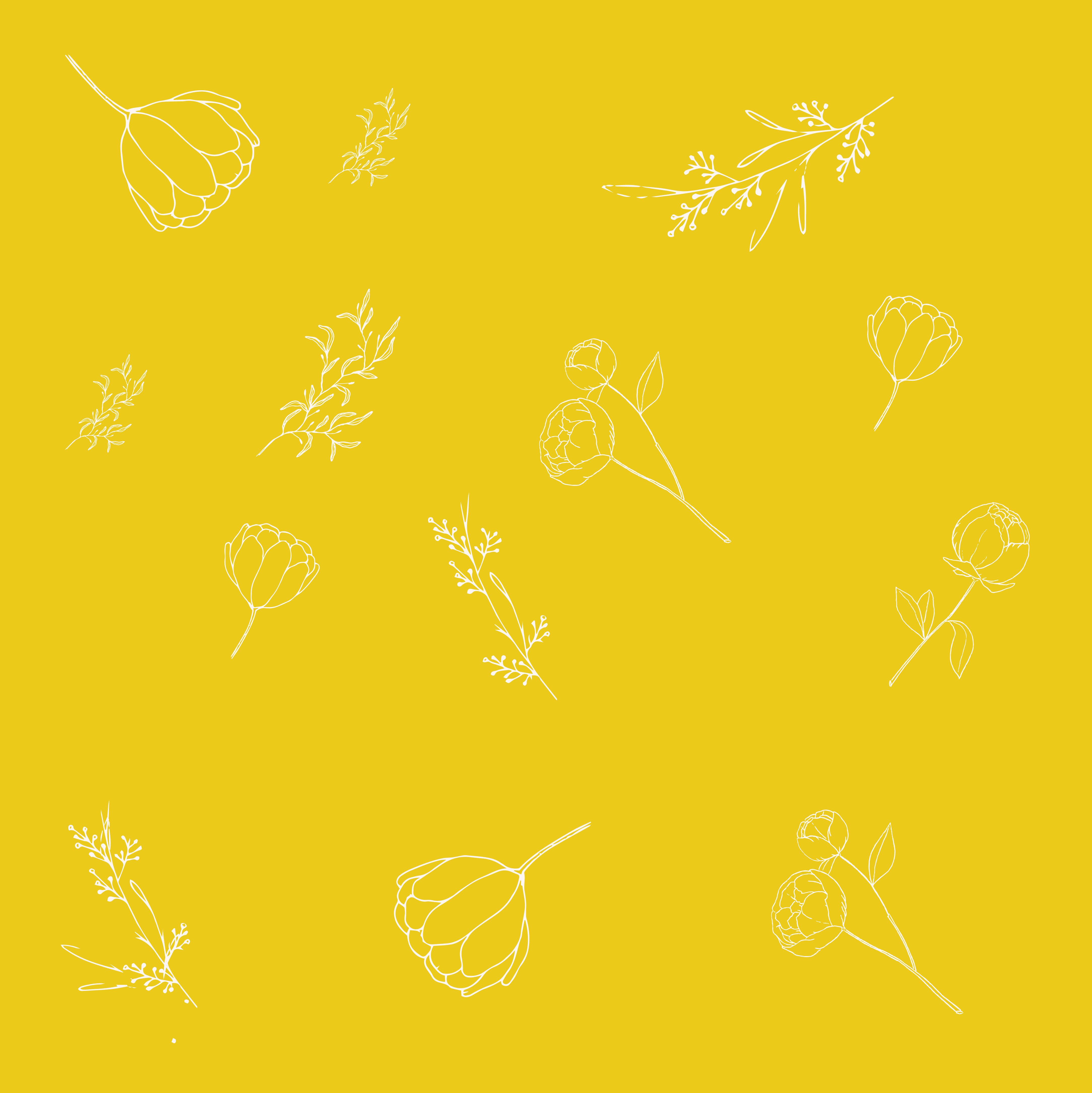 恭喜花氛園新網站