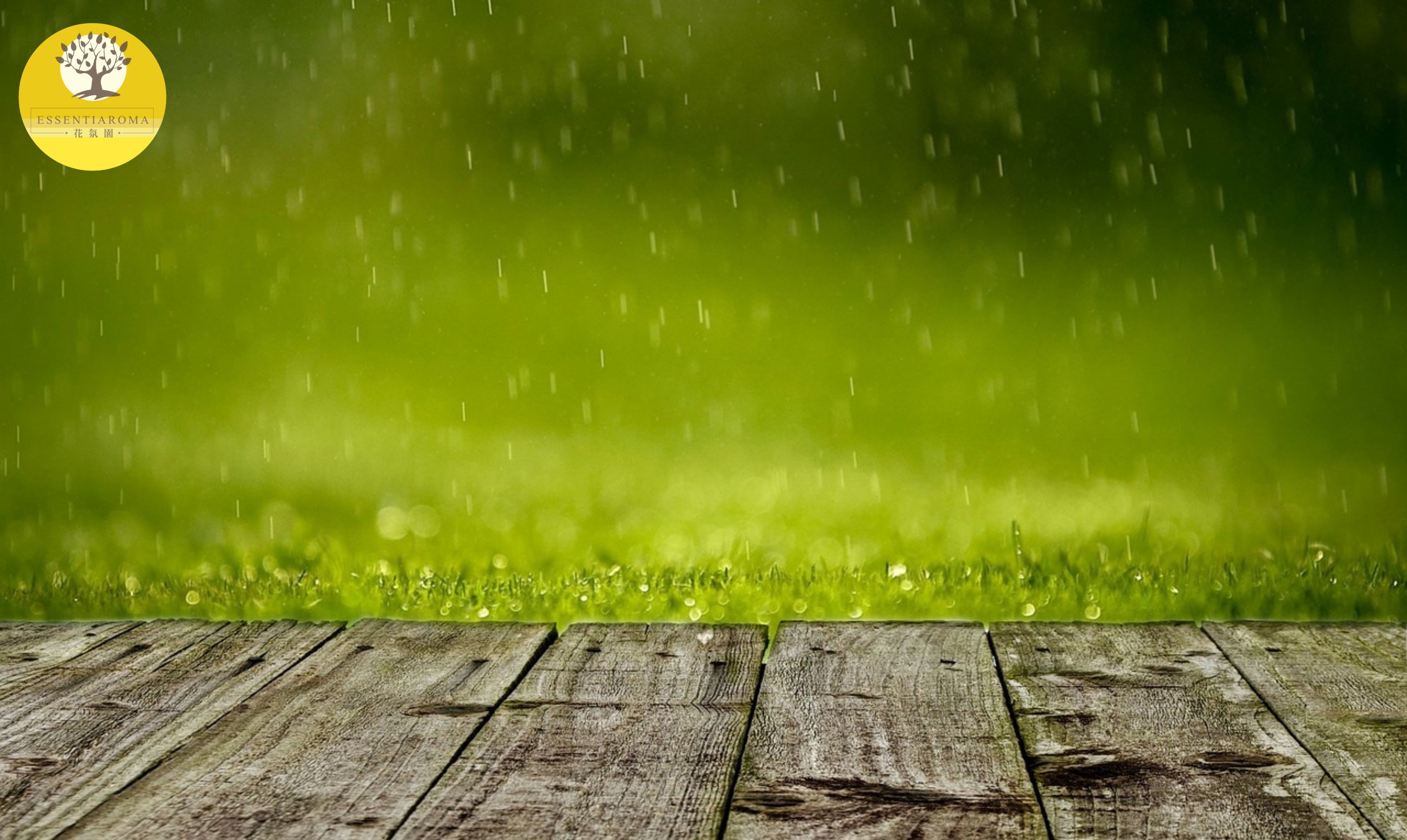 【24節氣：穀雨】