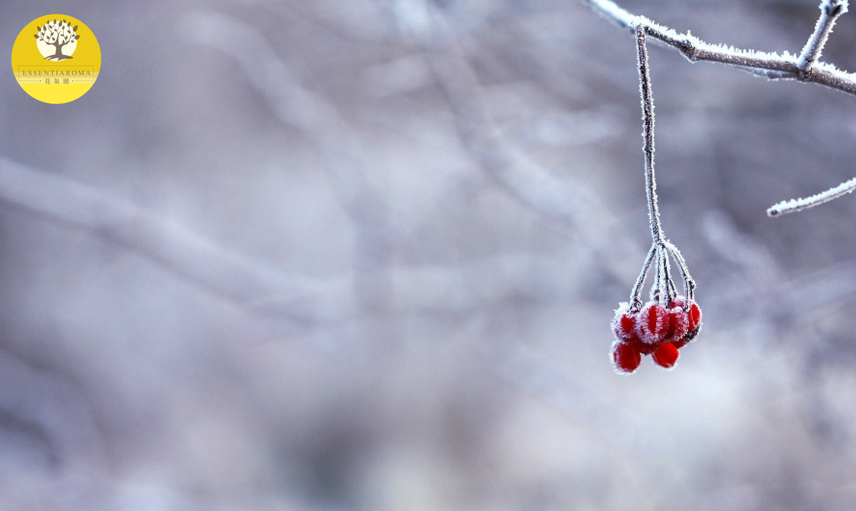 【24節氣：大寒】