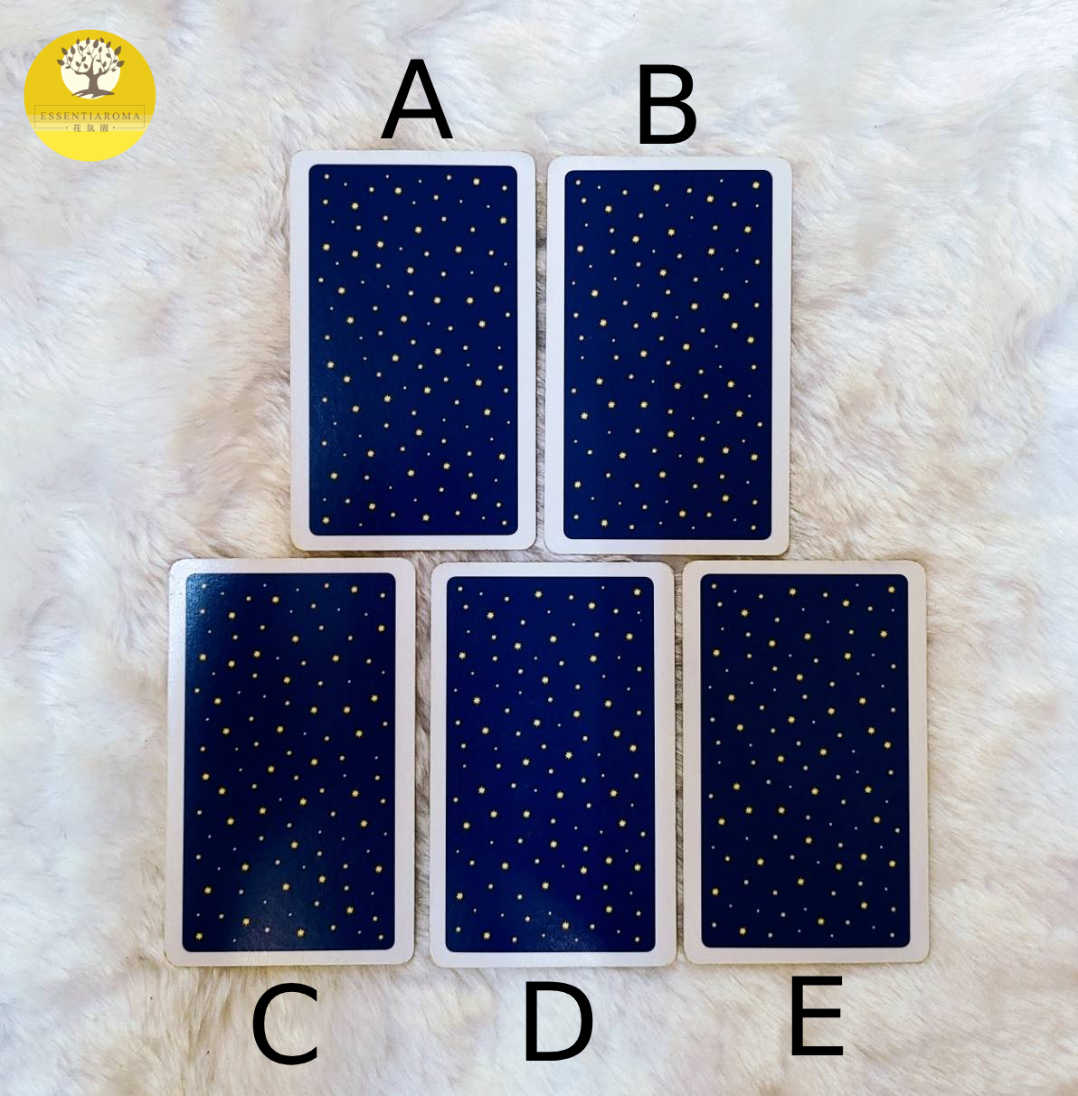 【Chac塔羅：2022年12月金錢運勢】