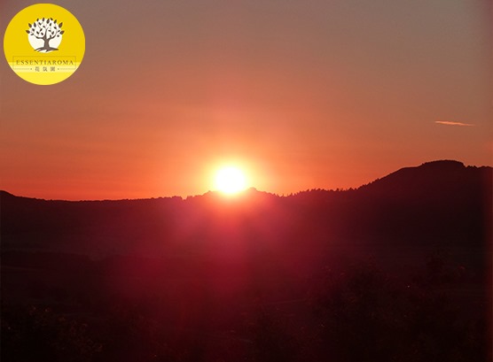 【24節氣：夏至】