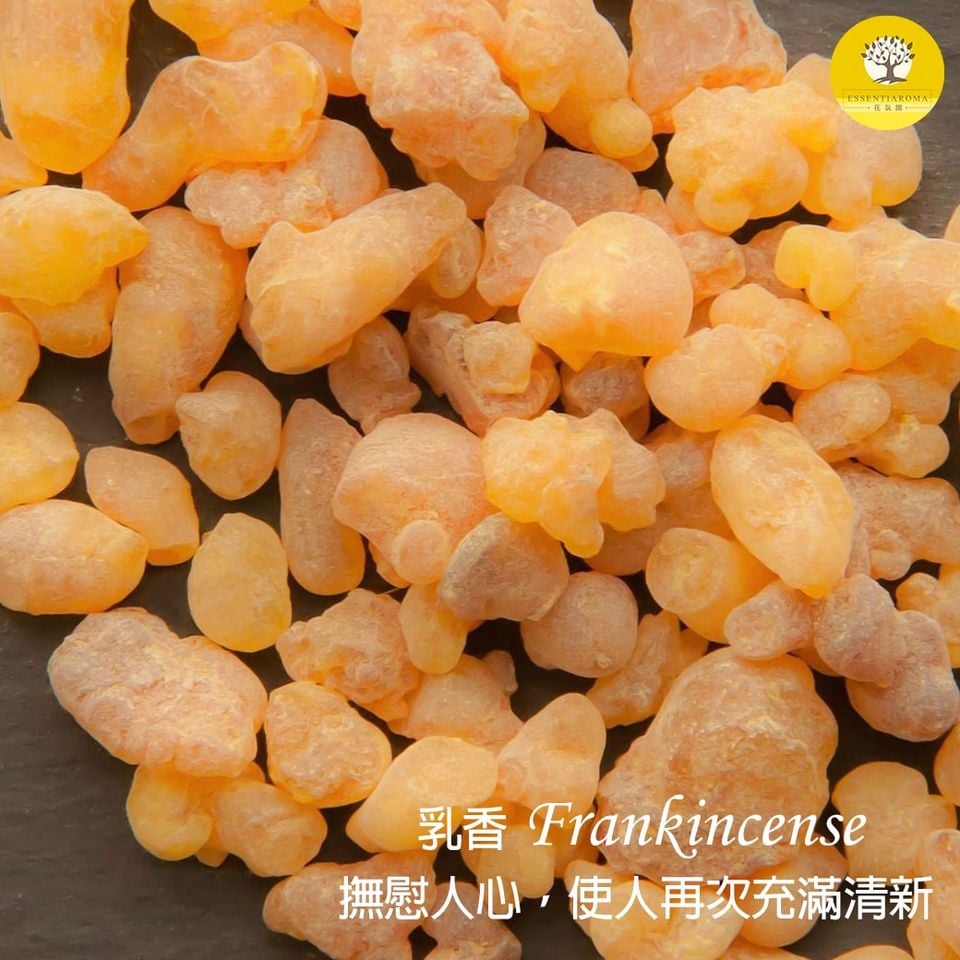【精油之王─乳香】