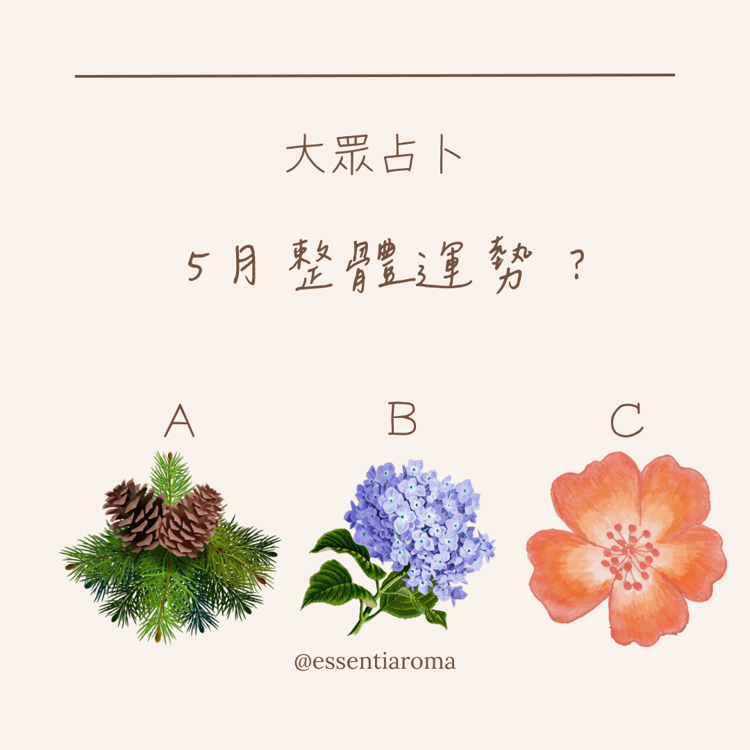 #大眾占卜 ５月整體運勢？