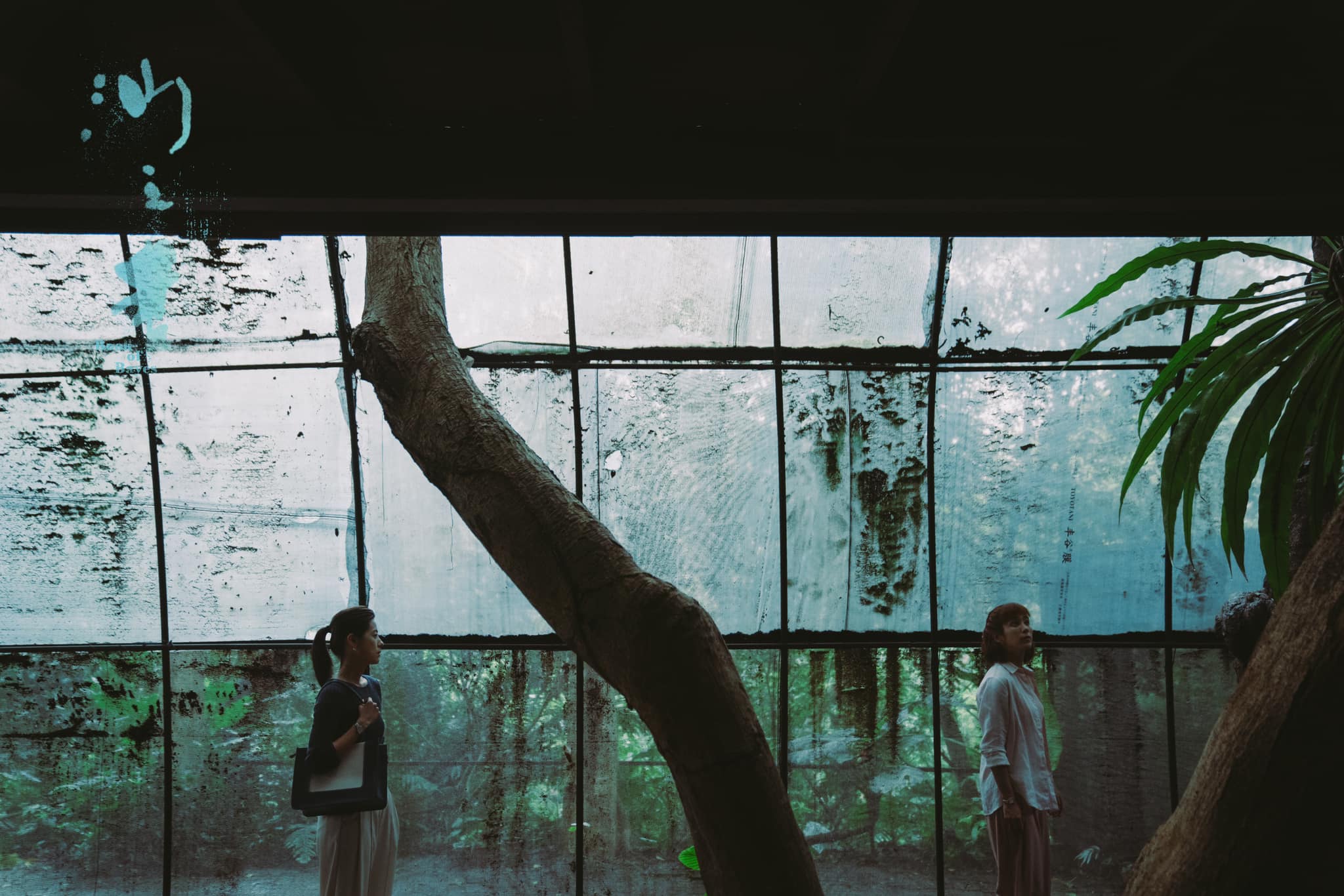 【精油時事：選擇？】