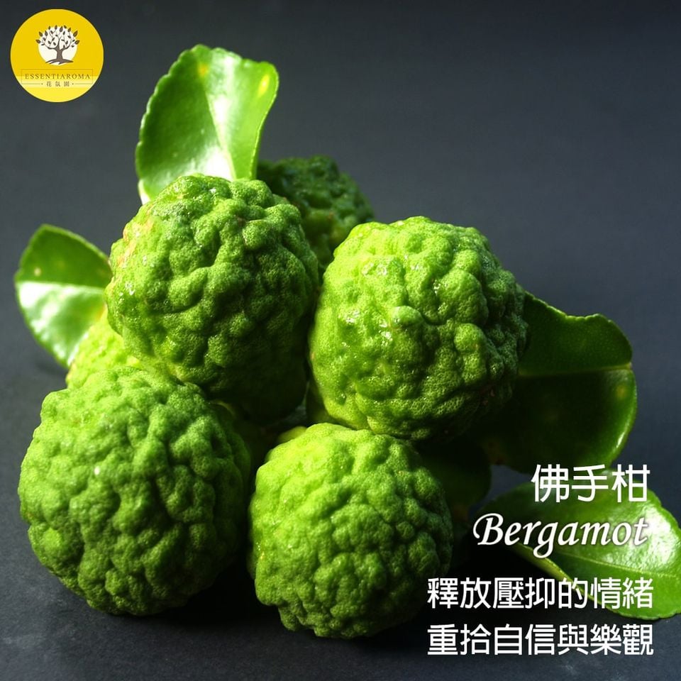 【溫暖香氣─佛手柑】