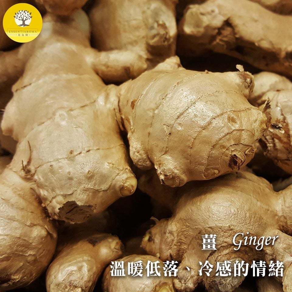 【暖心包─薑】