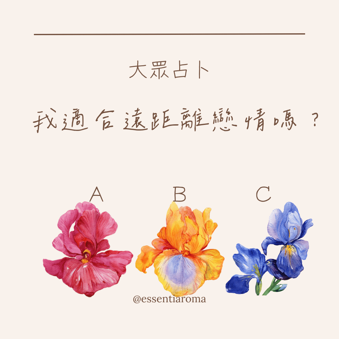 #大眾占卜 我們適合遠距離嗎？