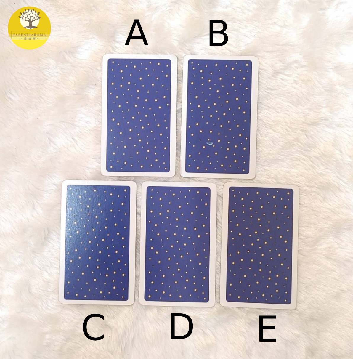 【Chac塔羅：2023年財運小方針】