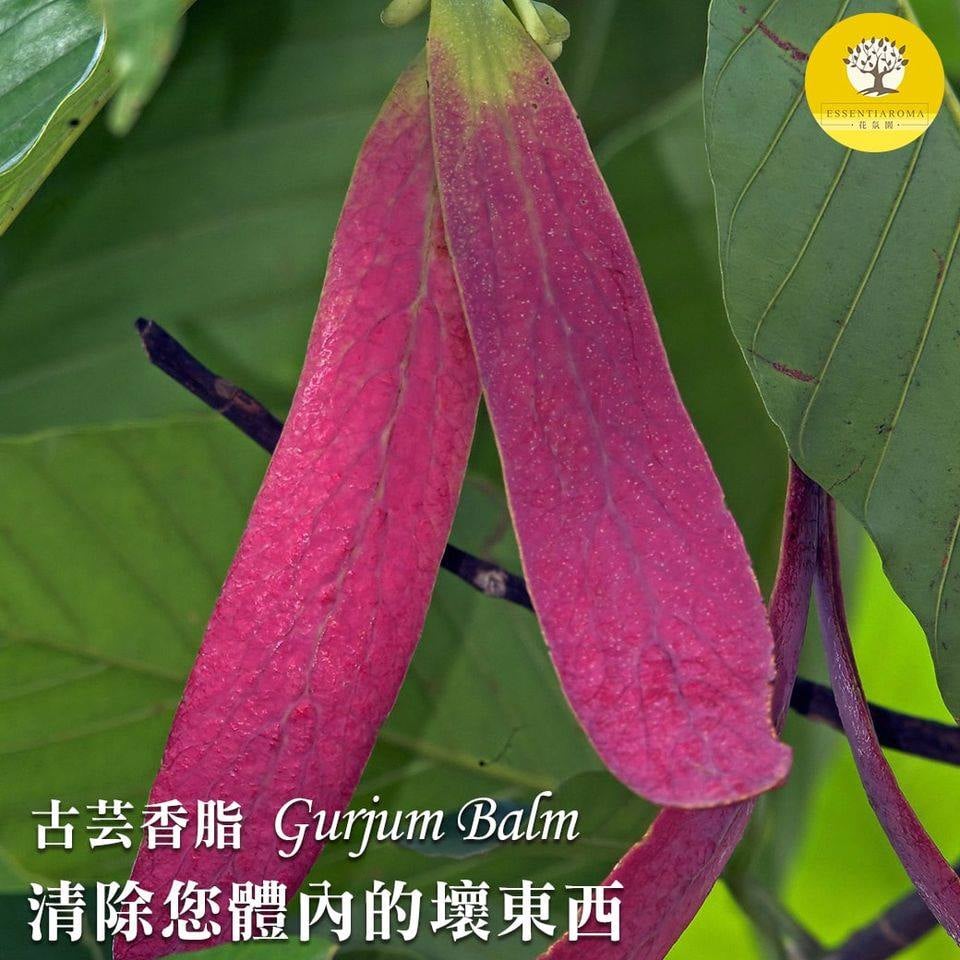 【濃密沉穩─古芸香脂】