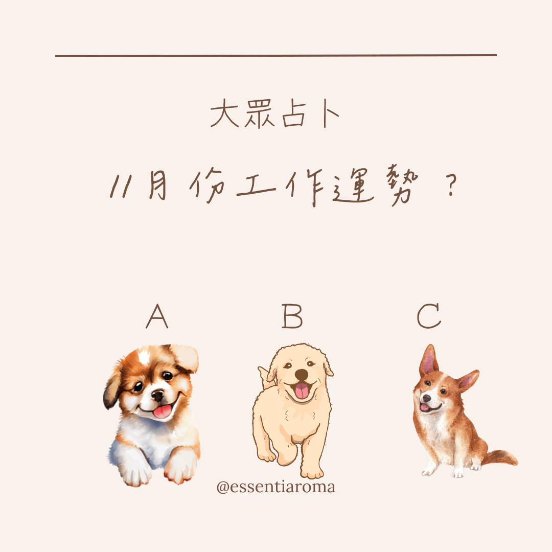 #大眾占卜 11月工作運勢？