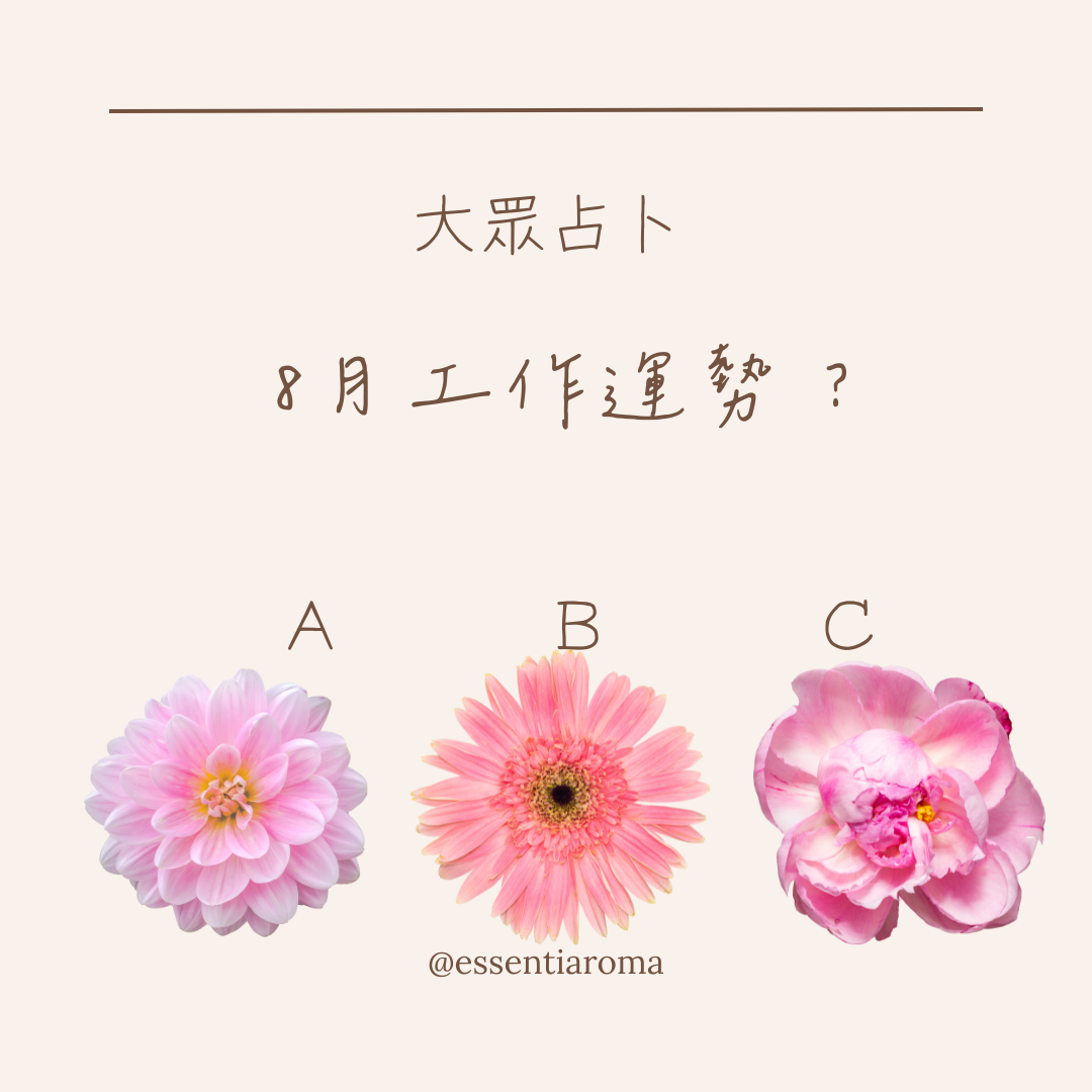 #大眾占卜 8月工作運勢？