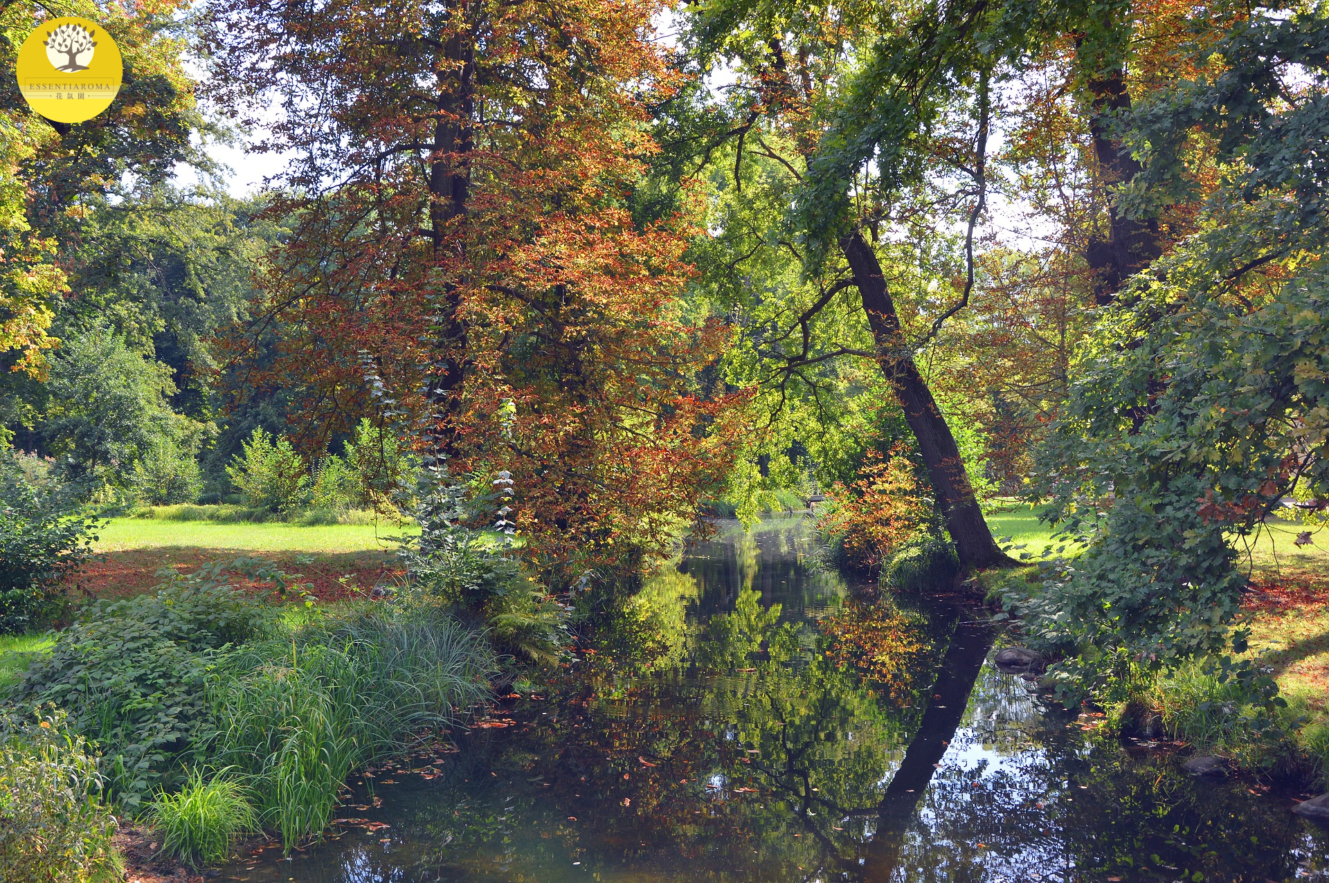 【24節氣：立夏】