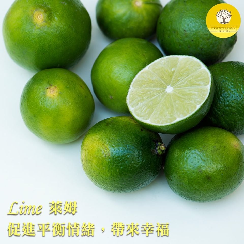 【活潑─萊姆】