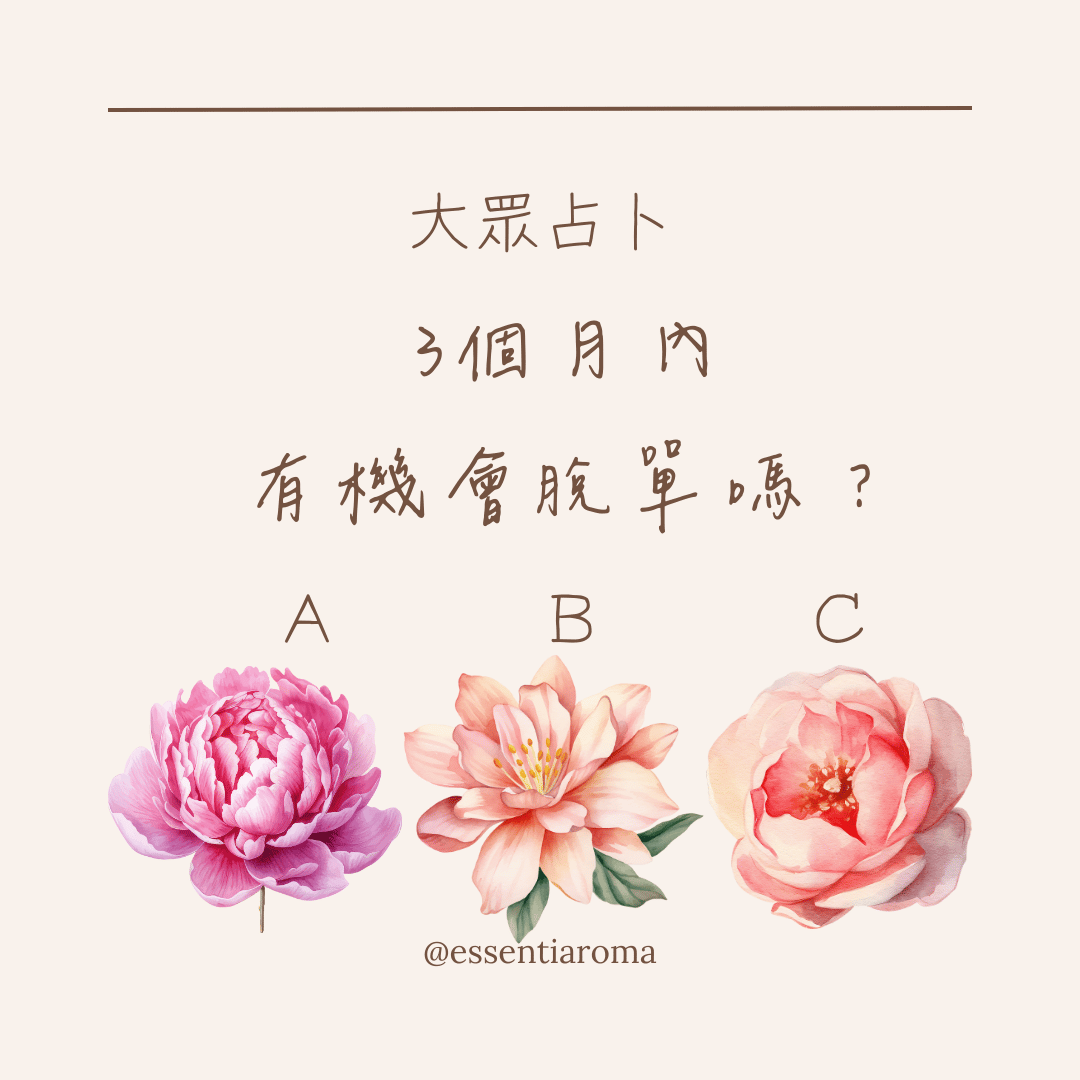 #大眾占卜 3個月內有機會脫單嗎？