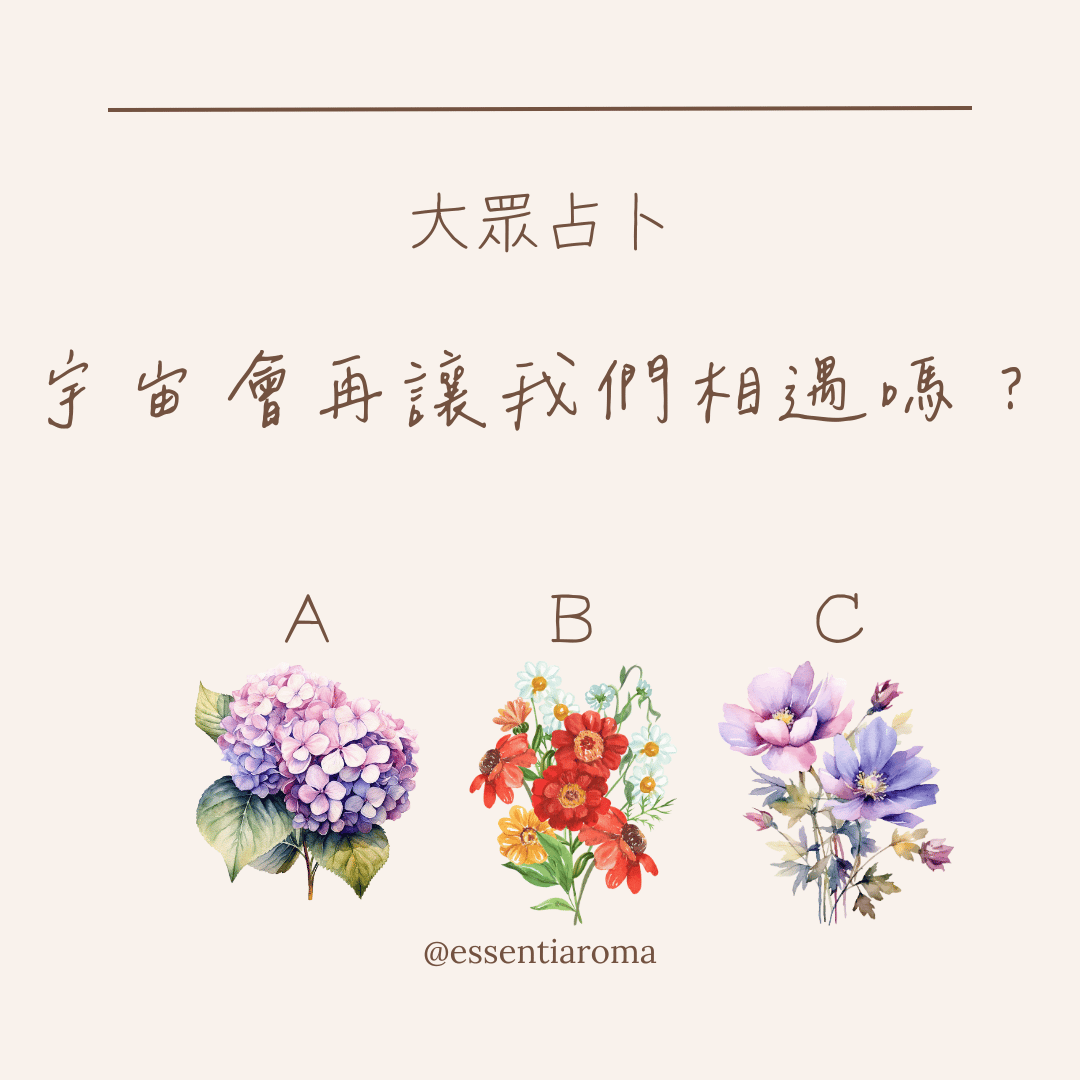 大眾占卜 宇宙會再讓我們相遇嗎？