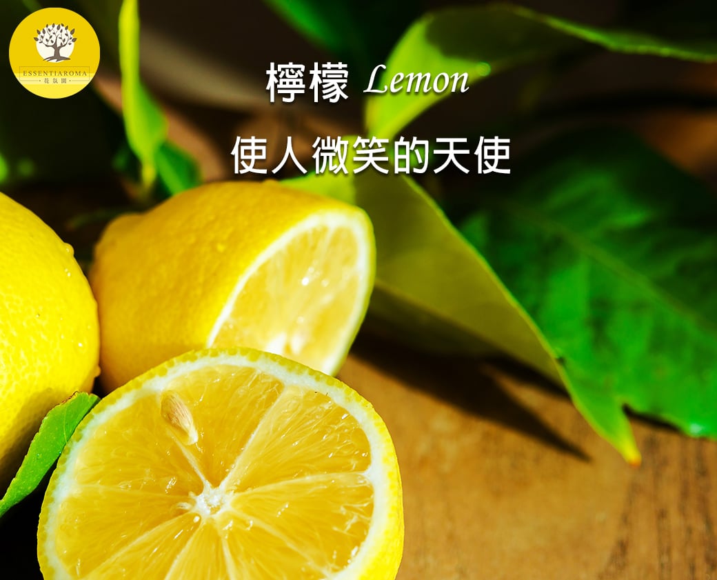 【氣味清新─檸檬精油】