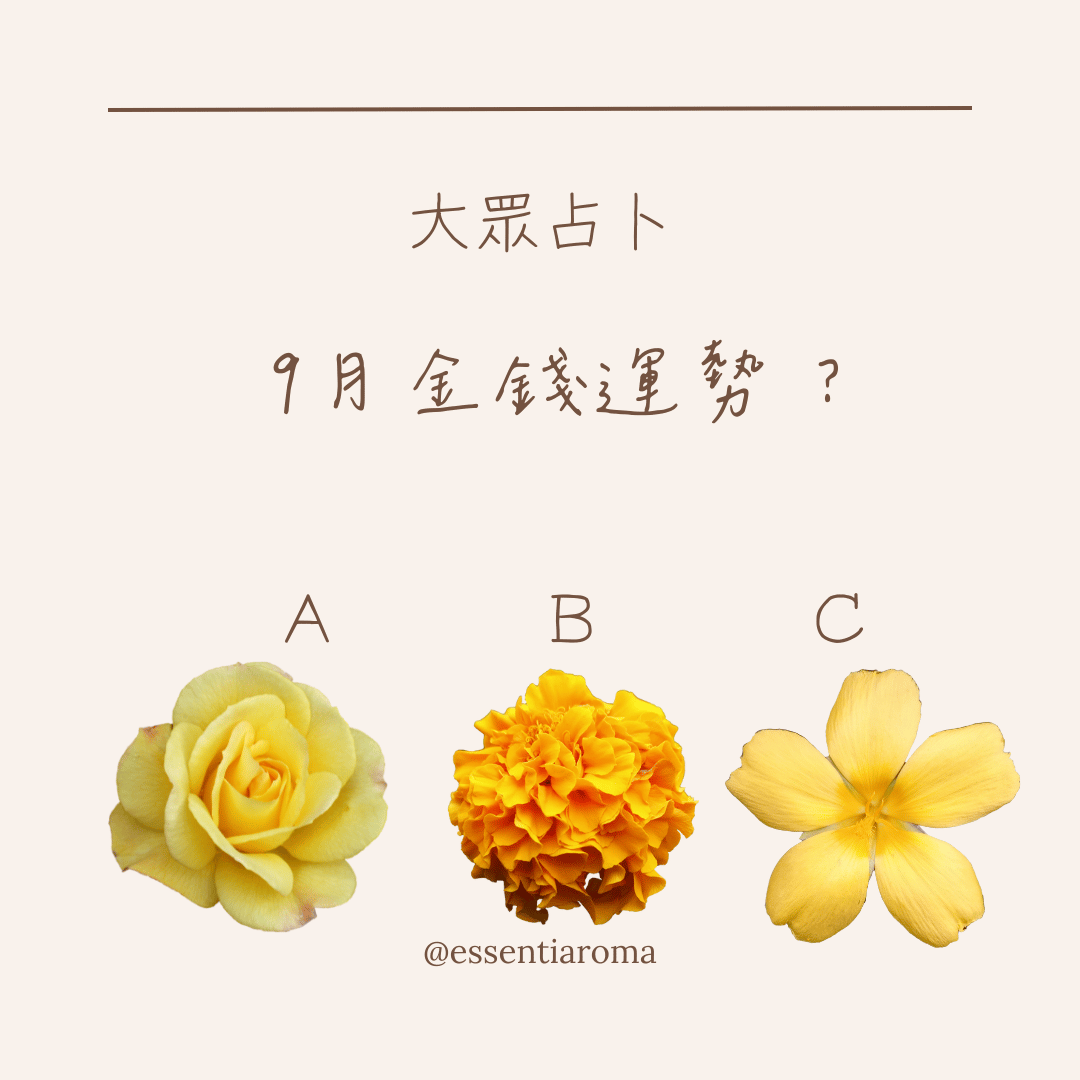 #大眾占卜 9月金錢運勢？