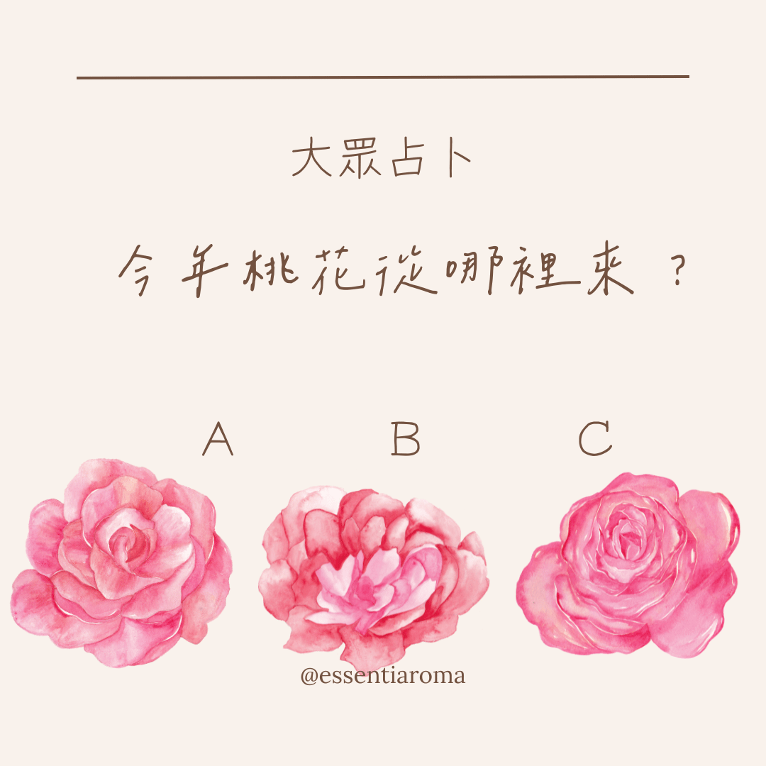 #大眾占卜 桃花從哪裡來？