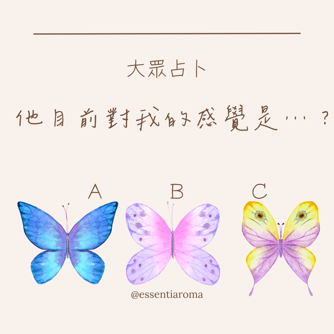 #大眾占卜 他目前對我的感覺是⋯？