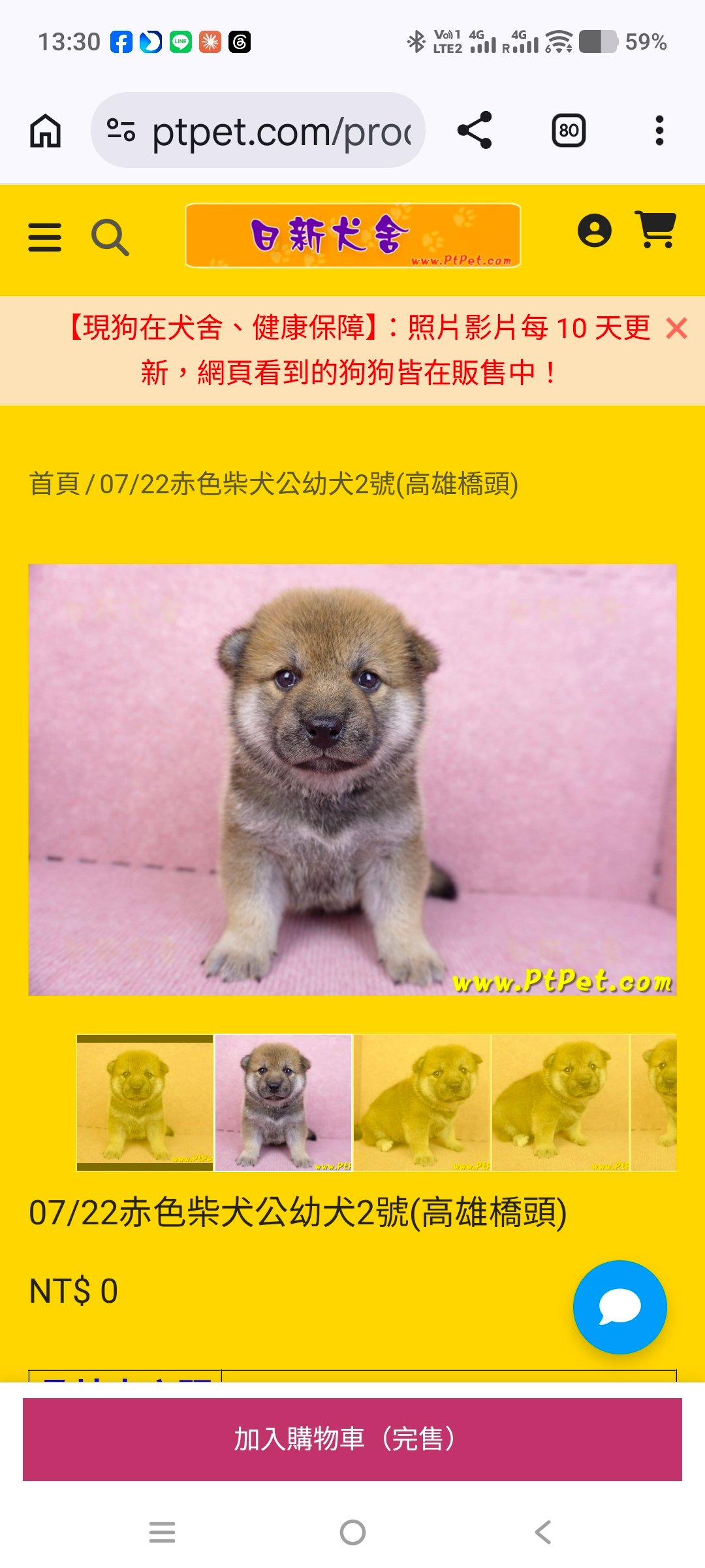 赤柴尾款 赤柴尾款