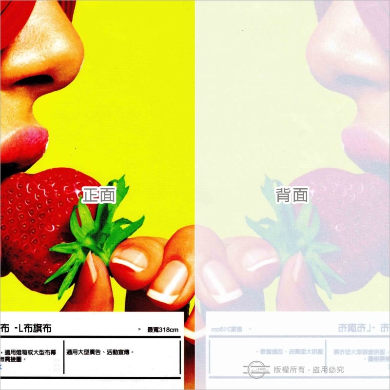 布旗布－最大輸出寬幅320cm