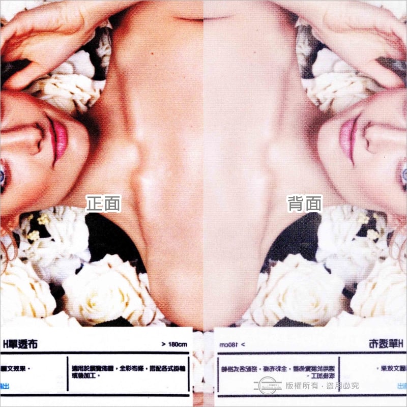 單透布（熱昇華）－最大輸出寬幅180cm