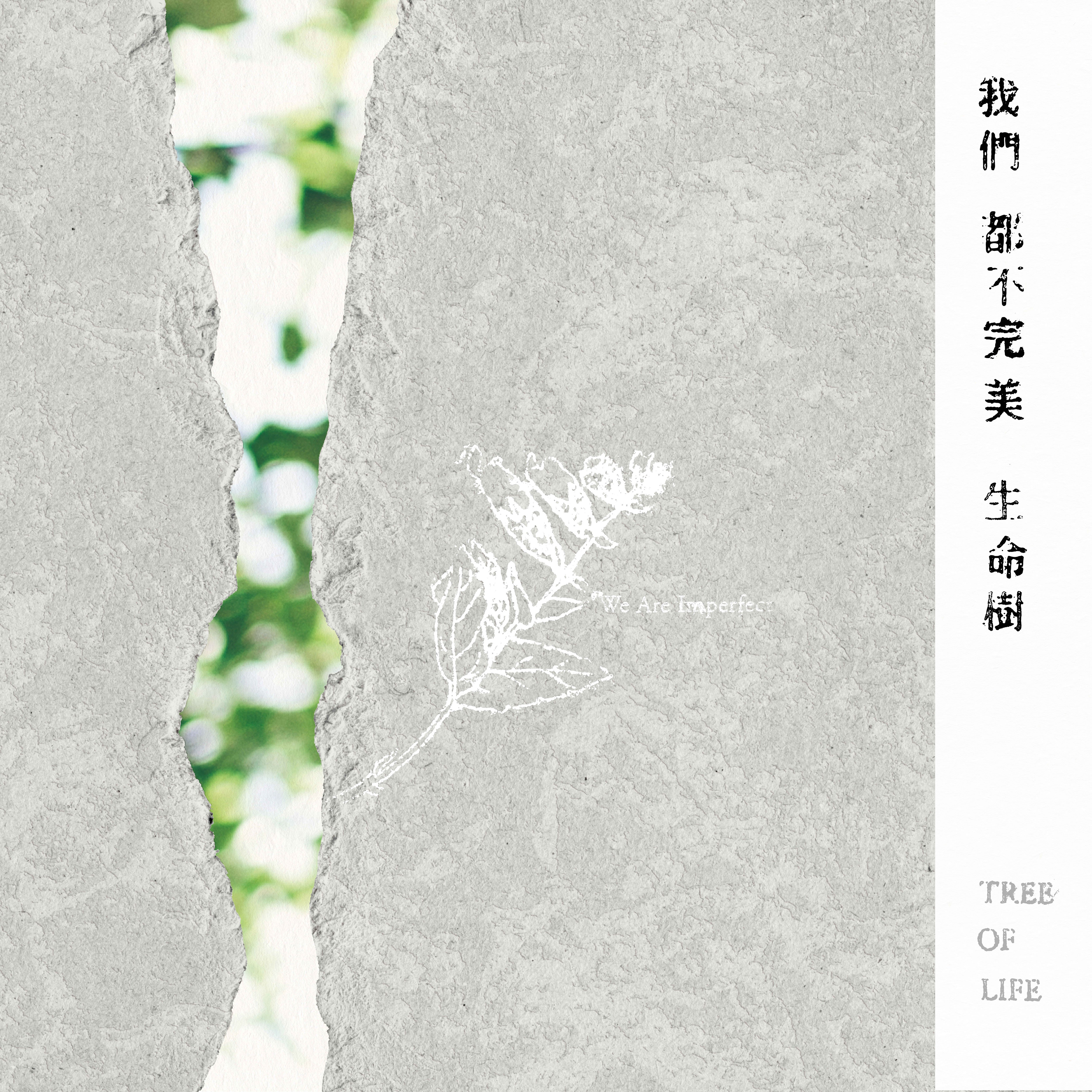 《我們都不完美》