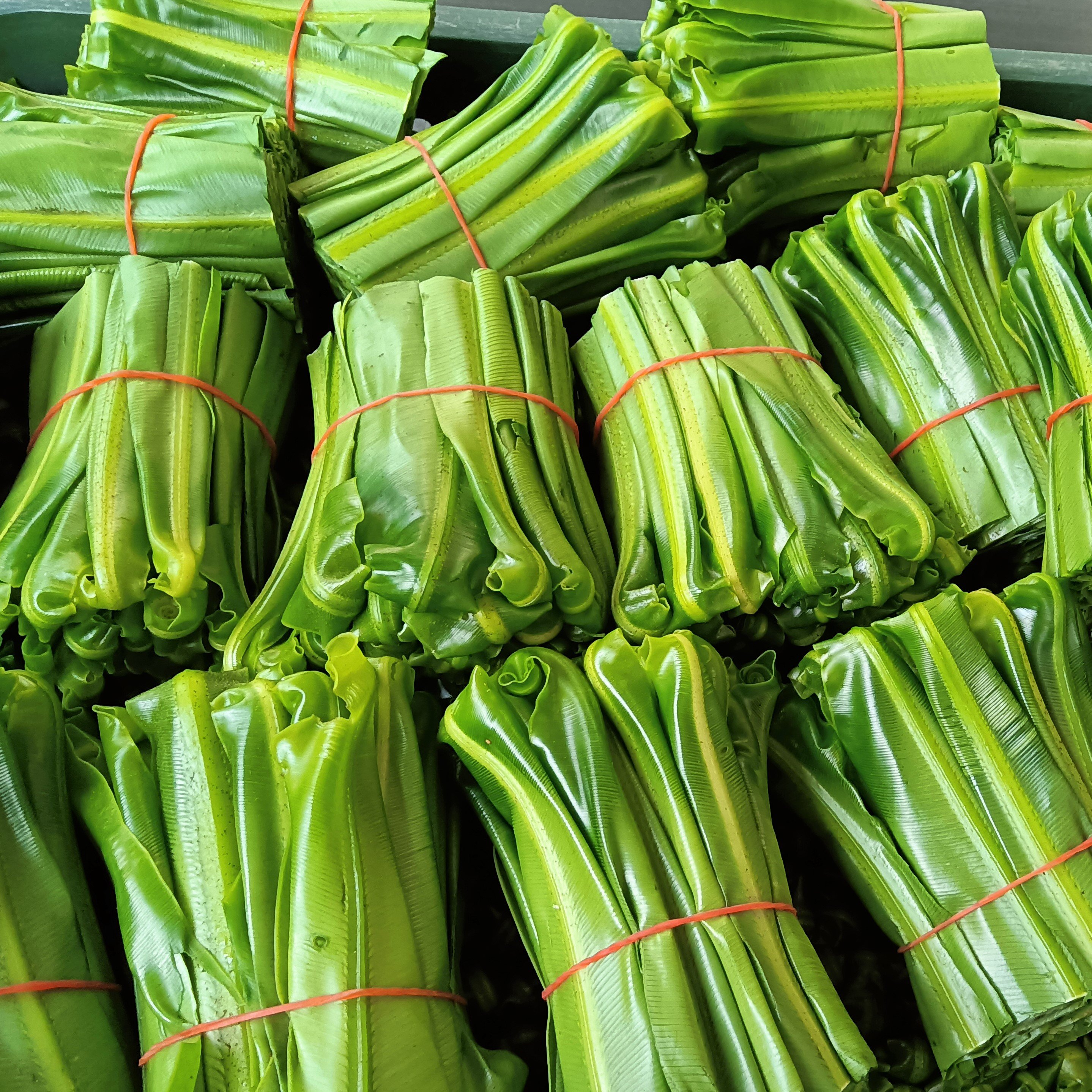 屏東獅子鄉鮮嫩山蘇(160g/盒)(低溫冷藏商品)