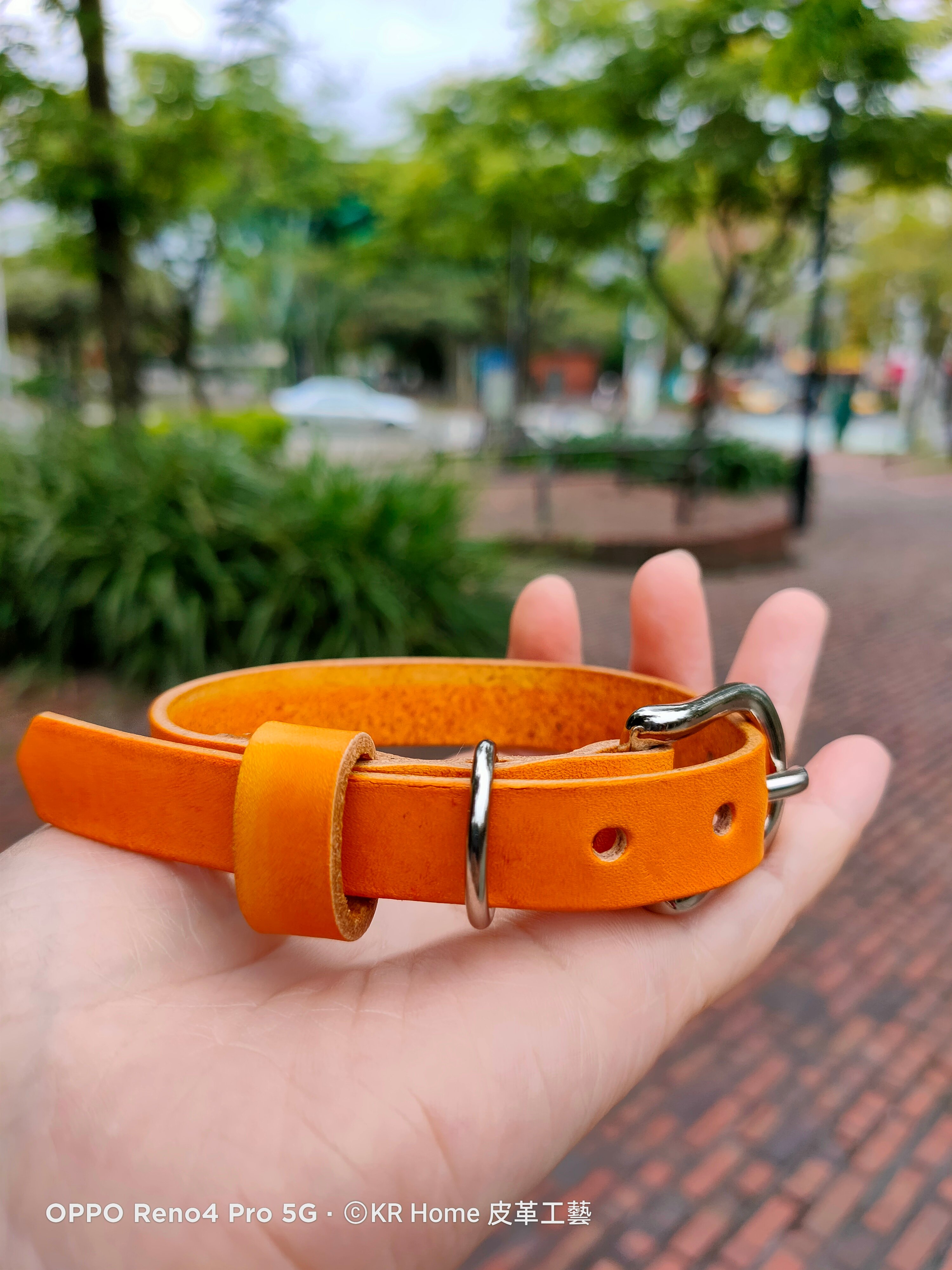 寵物項圈－S / M / L