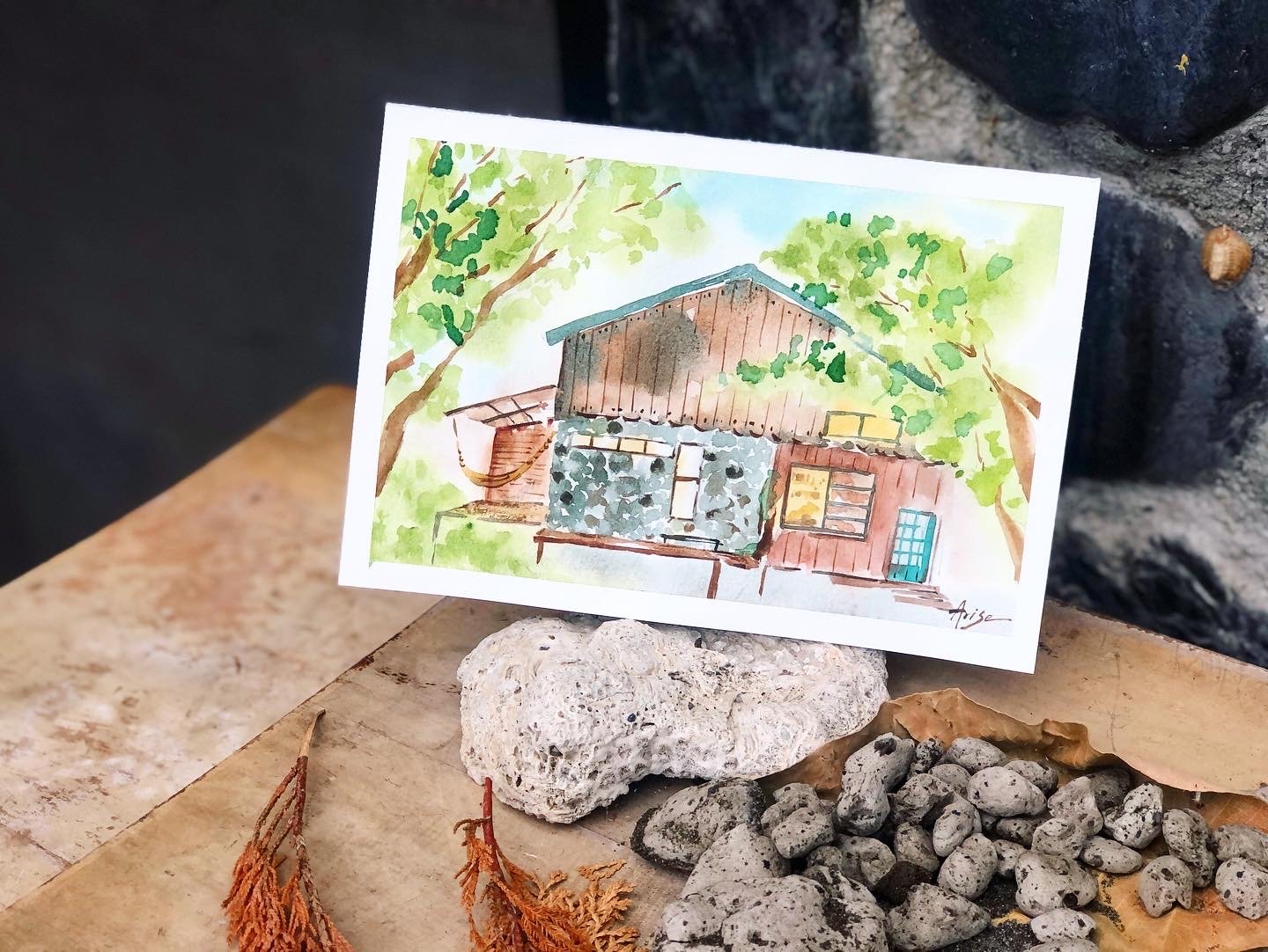 台東隱居日記／Day 5 森林教會我的事